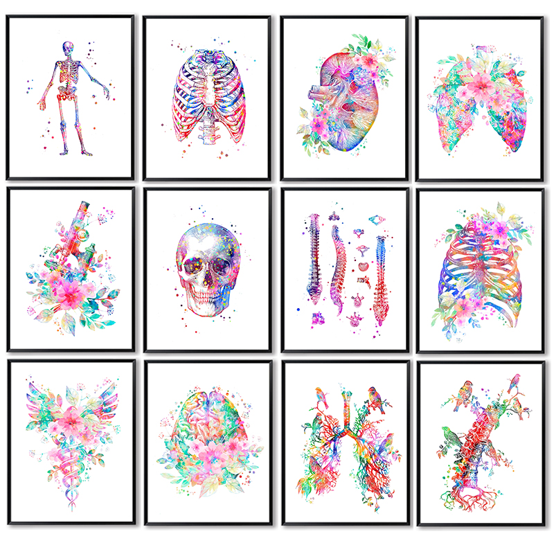 Medical Laboratory - Unframe Anatomy Medical Poster Flower Organ