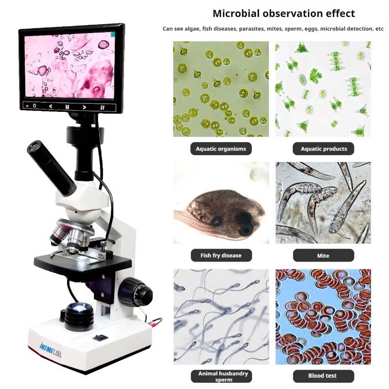 HD Screen Digital Microscope B - Medical Lab Microscope avis et prix