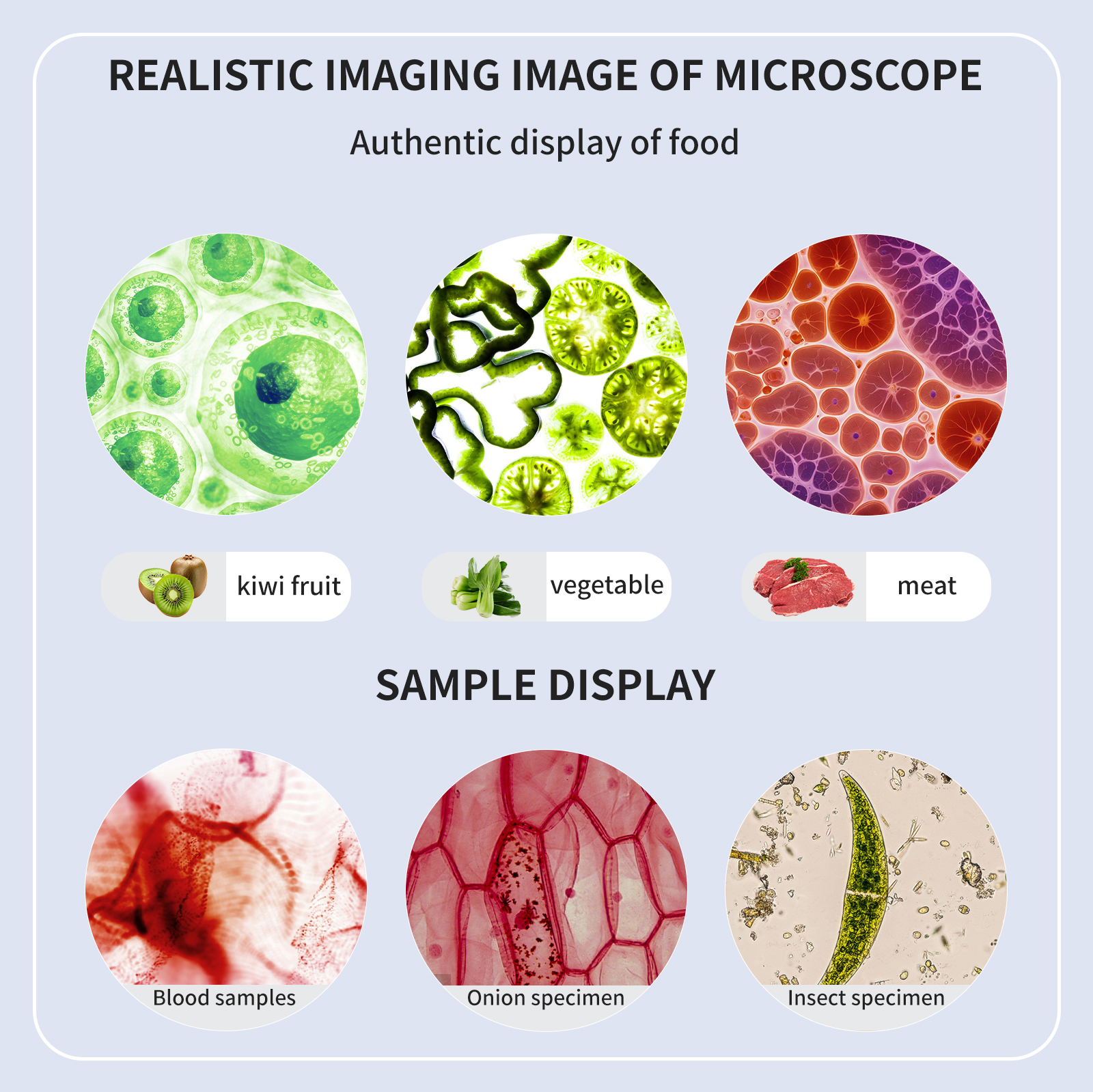 High definition, high magnific - Medical Lab Microscope avis et prix