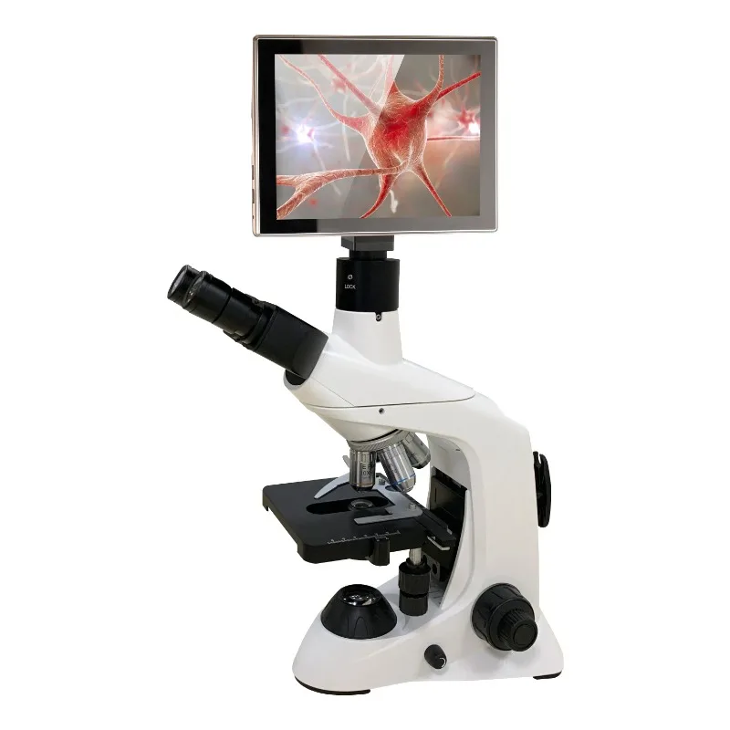 2026 New Stainless Steel Medic - Medical Lab Microscope avis et prix