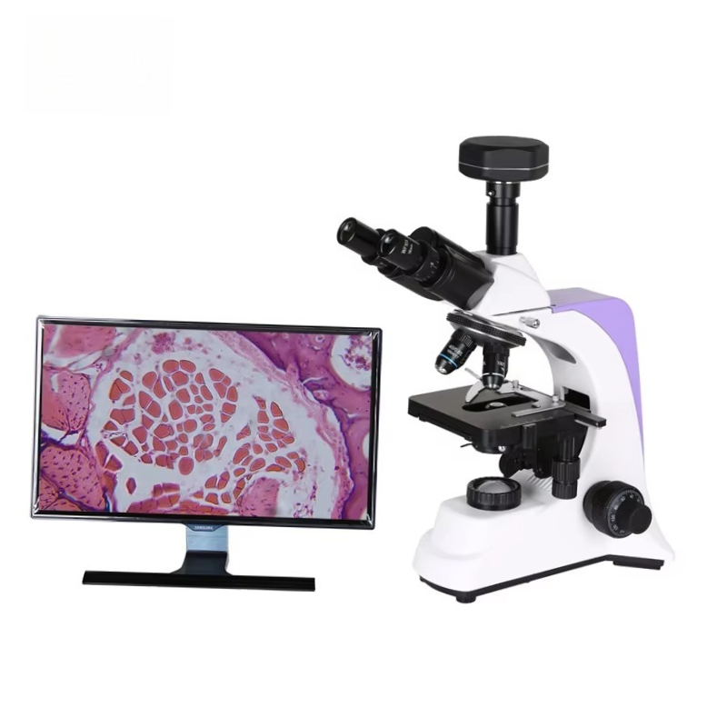 2026 Medical Lab Digital Biolo - Medical Lab Scientist avis et prix