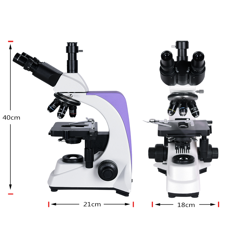 1000x 2500X Professional Biolo - Medical Lab Microscope avis et prix